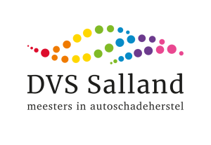 DVS Salland